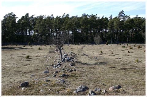 Vallhagar fornåldersby
