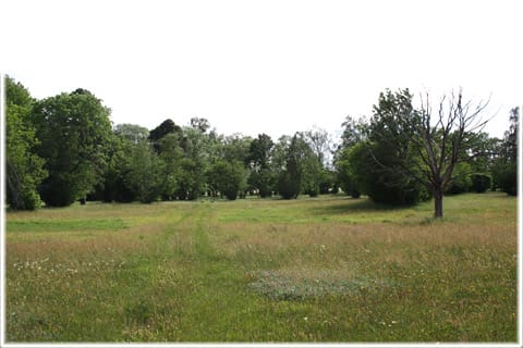 Prästänget Eskelhem