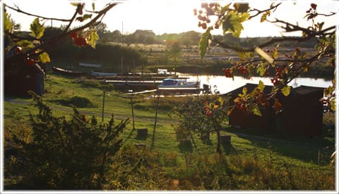 Ahrs fiskeläge
