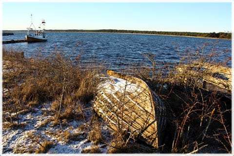 Sjaustre, Magiska Gotland