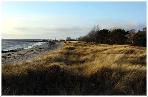 Livets guldkant, foto Bernt Enderborg
