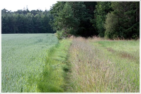 Vandringsleden i Sanda