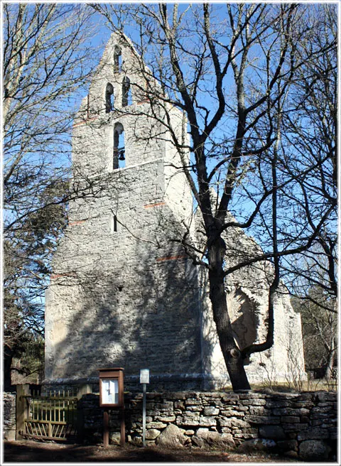 Bara ödekyrka, foto Bernt Enderborg