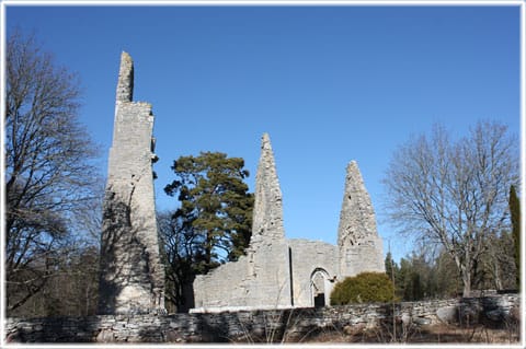 Bara ödekyrka, foto Bernt Enderborg