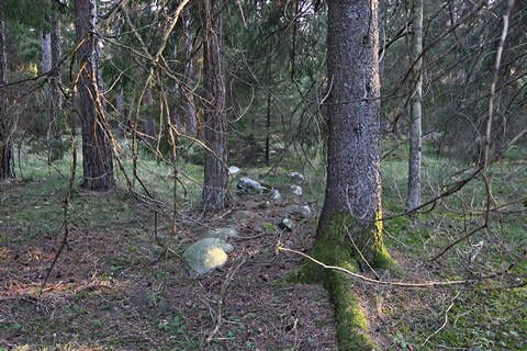 Fossila åkrar i Akebäck