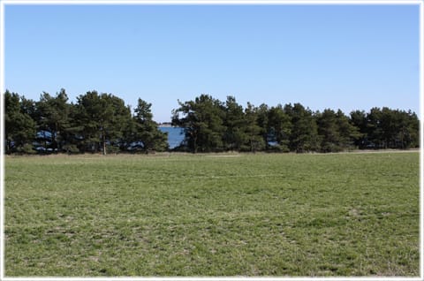 Hamngården, När