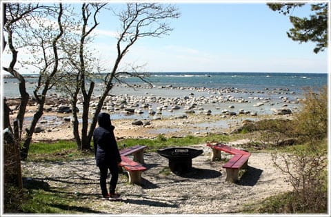 Snäckschimpansen, rauk
