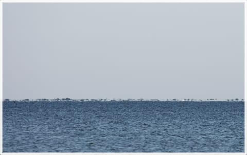 Den blå ön Gotland