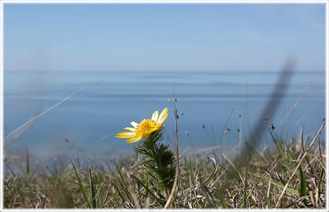 Den blå ön Gotland