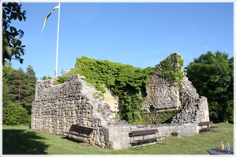 Murgröna