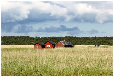 Sandskallen, fiskeläge, Silte