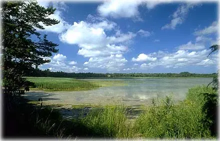 Kappelhamnsviken Östra , foto Björn Pettersson