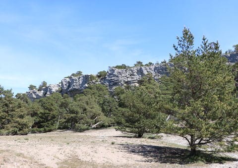 Svarthäll