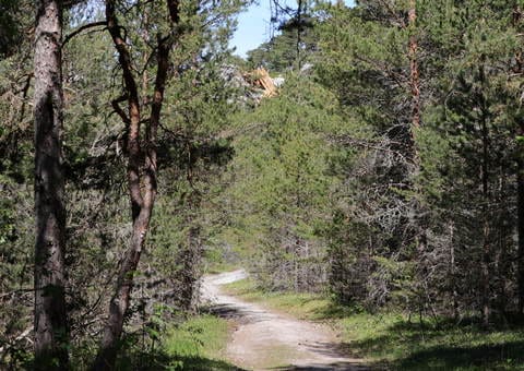 Svarthäll