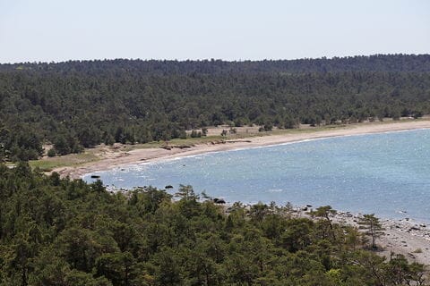 Svarthäll