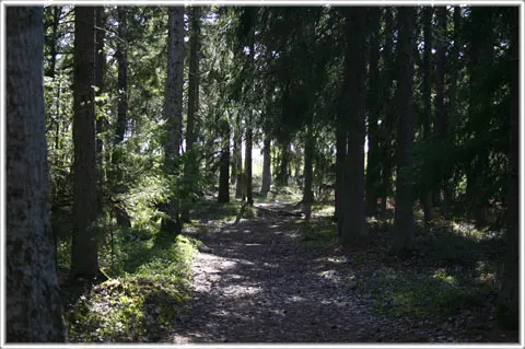 Trullhalsar, foto Bernt Enderborg