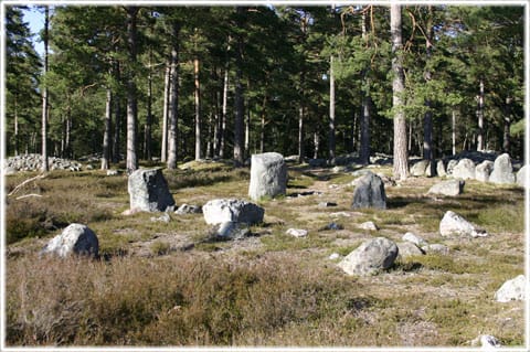 Trullhalsar, gravfält i Anga