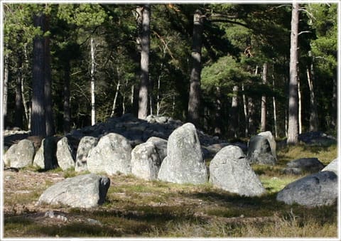 Trullhalsar, gravfält i Anga
