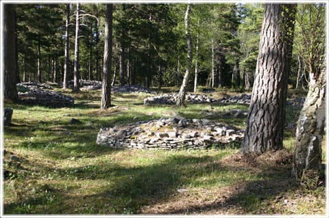 Trullhalsar, gravfält i Anga