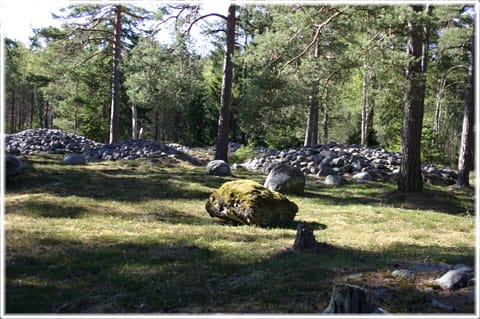 Trullhalsar, gravfält i Anga