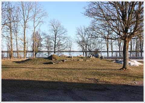 Tingstäde träsk