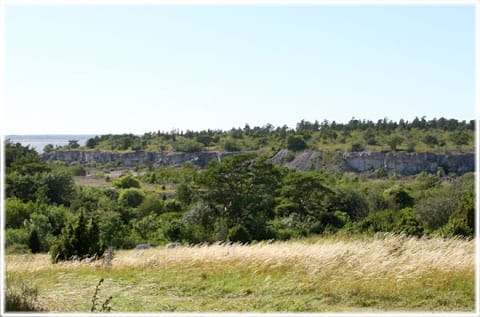 Kalkbrott på S:t Olofsholm