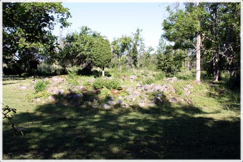 Visne ängar, Alskog, Gotland, kämpgravar