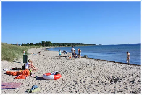 Gnisvärd, foto Bernt Enderborg
