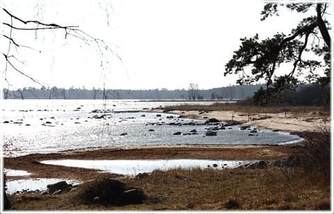 Badstranden vid Hammars fiskeläge i Norrlanda