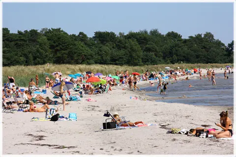 Hörte strand, foto Bernt Enderborg