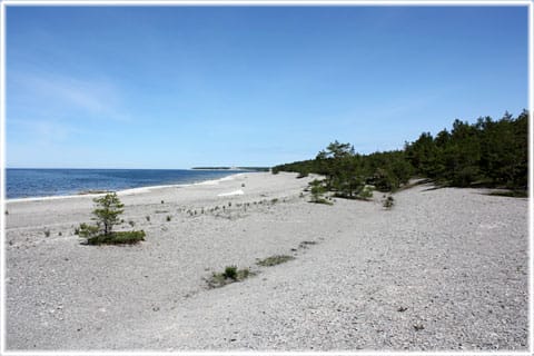 Fleringe socken på Gotland