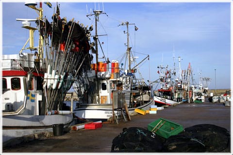 Herrvik, hamn, Östergarn, Gotland