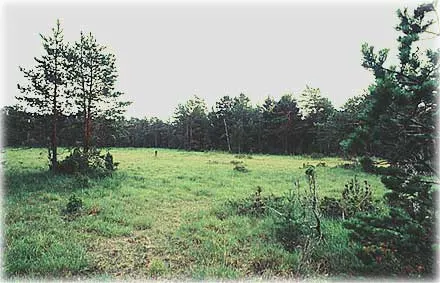 Myrar på Gotland , foto Björn Pettersson