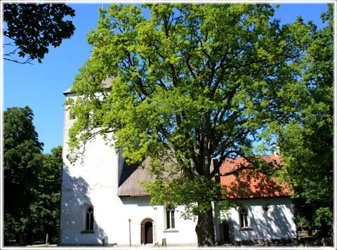 Buttle kyrka, foto Bernt Enderborg