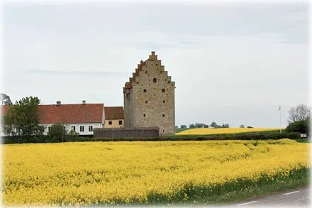 Glimmingehus - ett gutniskt hus i Skåne , foto Bernt Enderborg
