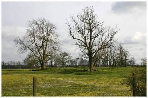 Kämpgrav i Eskelhem, foto Bernt Enderborg