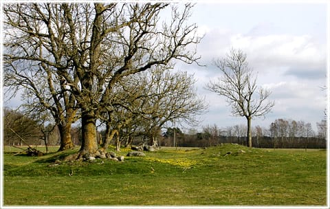 Kämpgrav, Eskelhem