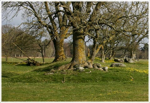 Husgrunder i Eskelhem
