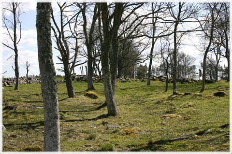 Vendeltida skeppsvarv vid Paviken på Gotland