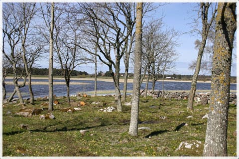 Vendeltida skeppsvarv vid Paviken på Gotland