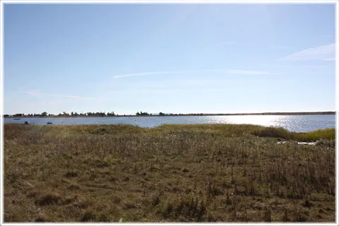 Vivesholm, foto Bernt Enderborg