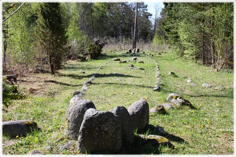Skeppssättningen i Ansarve hage