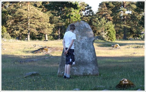 Bildsten vid Gålrum i Alskog