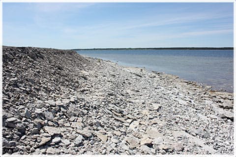 Grodde naturreservat